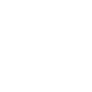 australian-air-force-logo-babylon